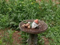 Olympus 40-150mm lens, image stabalization, ISO 400