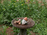 Olympus 50-200mm lens, image stabalization, ISO 100