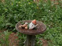 Olympus 50-200mm lens, image stabalization, ISO 400