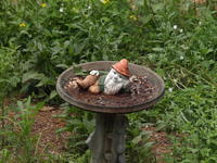 Olympus 50-200mm lens, image stabalization, ISO 1600