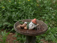 Vivitar 100-300mm, image stabalization, ISO 100