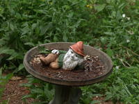 Vivitar 100-300mm, image stabalization, ISO 400