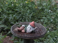 Vivitar 100-300mm, image stabalization, ISO 1600