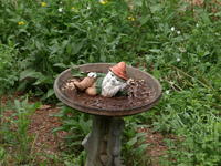 Olympus 40-150mm lens, no image stabalization, ISO 100