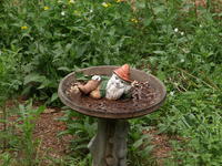 Olympus 40-150mm lens, no image stabalization, ISO 400