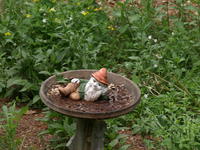 Olympus 50-200mm lens, no image stabalization, ISO 100