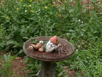 Olympus 50-200mm lens, no image stabalization, ISO 400