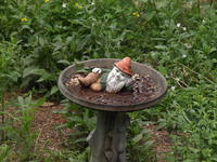 Olympus 50-200mm lens, no image stabalization, ISO 1600