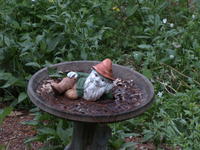 Vivitar 100-300mm, no image stabalization, ISO 100