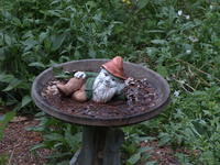 Vivitar 100-300mm, no image stabalization, ISO 400