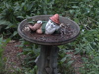 Vivitar 100-300mm, no image stabalization, ISO 1600