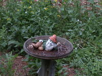 Vivitar 70-210mm, no image stabalization, ISO 100