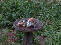 Vivitar 70-210mm, no image stabalization, ISO 400